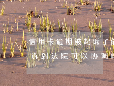 信用卡逾期被起诉了能协商么(欠信用卡被起诉到法院可以协调吗)