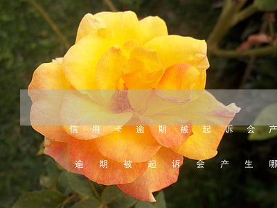 信用卡逾期被起诉会产生哪些费用-信用卡逾期被起诉会产生哪些费用呢