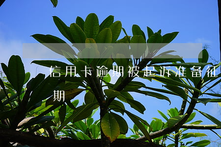信用卡逾期被起诉准备征信报告(征信报告逾期)