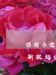 信用卡逾期被起诉只有一套房子(房子连续逾期被起诉)