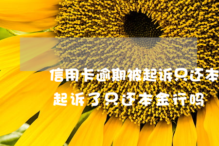 信用卡逾期被起诉只还本金可以吗(欠信用卡起诉了只还本金行吗)
