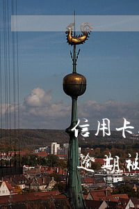 信用卡逾期被起诉可以保释吗(有没有信用卡逾期被判刑的)