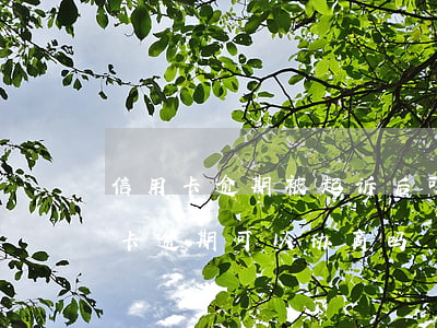信用卡逾期被起诉后可以协商吗(民法典信用卡逾期可以协商吗)