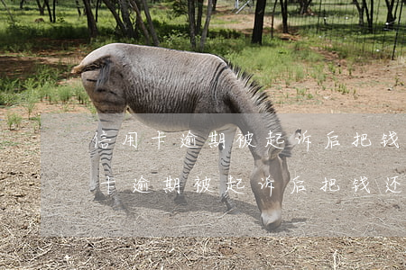 信用卡逾期被起诉后把钱还了会撤案-信用卡逾期被起诉后把钱还了会撤案吗