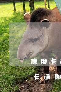 信用卡逾期被起诉后显示已全部执行-信用卡逾期被起诉后显示已全部执行怎么办