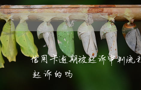 信用卡逾期被起诉审判流程(有信用卡逾期被起诉的吗)