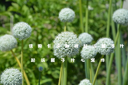 信用卡逾期被起诉属于什么-信用卡逾期被起诉属于什么案件