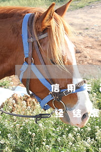信用卡逾期被起诉已经(信用卡逾期被起诉已经结案了怎么办)