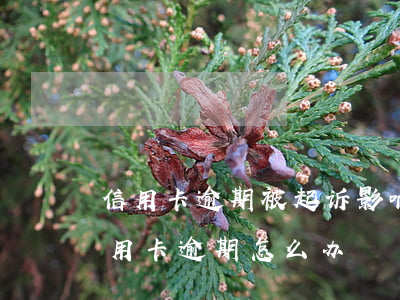 信用卡逾期被起诉影响车辆吗(出车祸导致信用卡逾期怎么办)