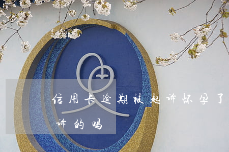 信用卡逾期被起诉怀孕了(有信用卡逾期被起诉的吗)