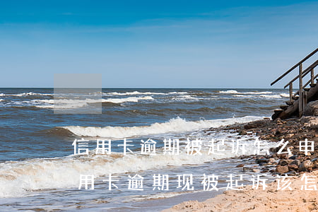 信用卡逾期被起诉怎么申报财产-因服刑信用卡逾期现被起诉该怎么做