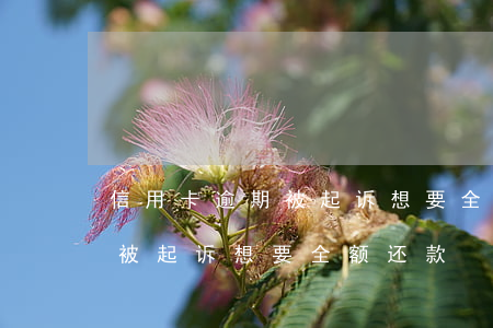 信用卡逾期被起诉想要全额还款(信用卡逾期被起诉想要全额还款)