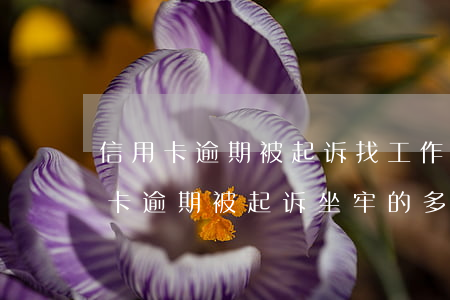信用卡逾期被起诉找工作有影响吗-因信用卡逾期被起诉坐牢的多吗