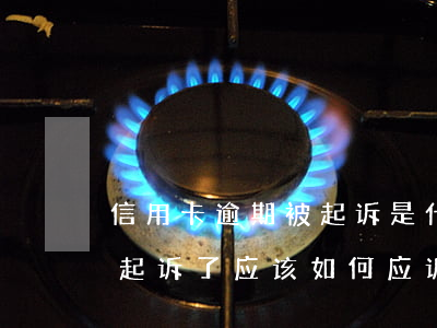 信用卡逾期被起诉是什么流程(信用卡逾期被起诉了应该如何应诉)
