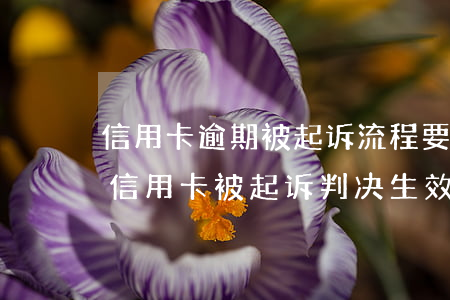 信用卡逾期被起诉流程要多久浦发-欠浦发信用卡被起诉,判决生效后会怎么样