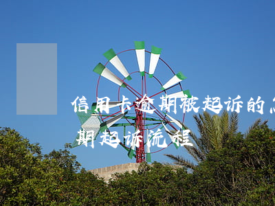 信用卡逾期被起诉的怎么办(银行对信用卡逾期起诉流程)