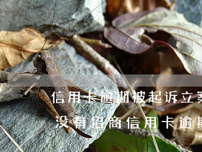 信用卡逾期被起诉立案后怎么解决招商-有没有招商信用卡逾期被告上法庭的吗