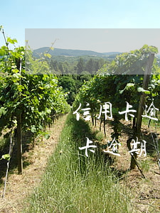 信用卡逾期被起诉立案逃跑(因刑拘导致信用卡逾期)