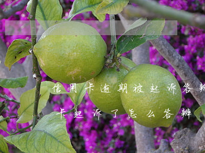 信用卡逾期被起诉答辩状该怎么写-被信用卡起诉了怎么答辩