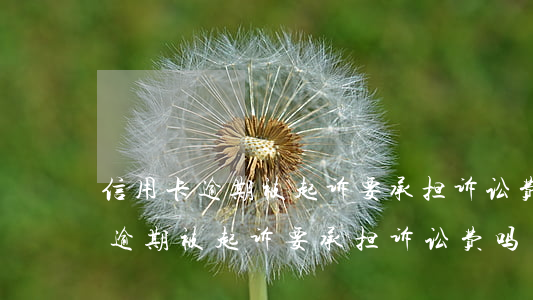 信用卡逾期被起诉要承担诉讼费吗-信用卡逾期被起诉要承担诉讼费吗多少钱