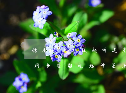 信用卡逾期被起诉还清以后就没事了吗-信用卡逾期被起诉还清以后就没事了吗