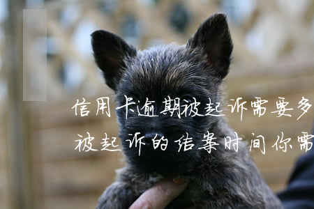 信用卡逾期被起诉需要多久结案，信用卡逾期被起诉的结案时间：你需要了解的关键信息