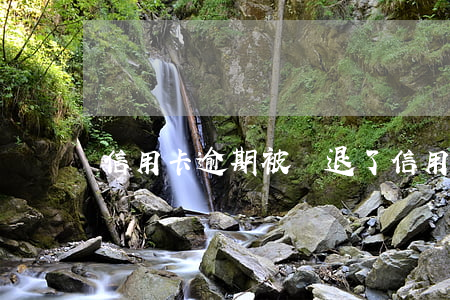 信用卡逾期被辭退了(信用卡 逾期 坐牢)