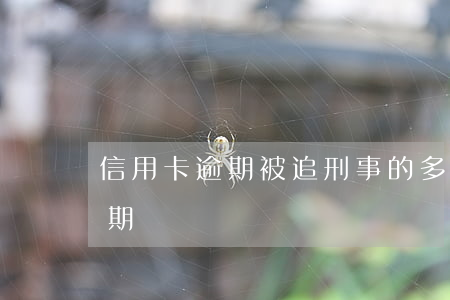 信用卡逾期被追刑事的多嗎(被刑拘信用卡逾期)