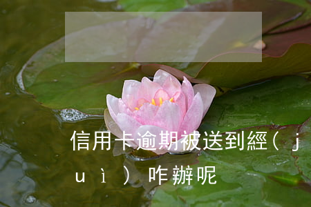 信用卡逾期被送到經(jīng)偵隊(duì)咋辦呢