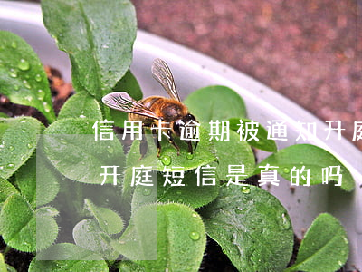 信用卡逾期被通知开庭的方式(欠信用卡收到开庭短信是真的吗)