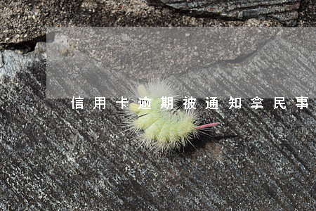 信用卡逾期被通知拿民事判決書