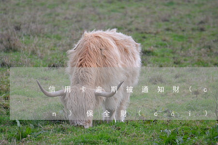 信用卡逾期被通知財(cái)產(chǎn)保全(財(cái)產(chǎn)保全還信用卡犯法不)
