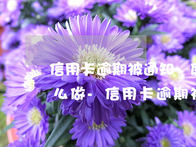 信用卡逾期被通知開庭應(yīng)該怎么做-信用卡逾期被通知開庭應(yīng)該怎么做處理