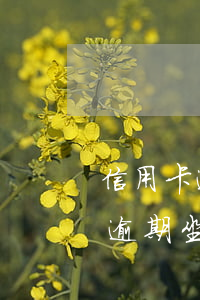 信用卡逾期被通緝還款后能撤案嗎-信用卡 逾期 坐牢