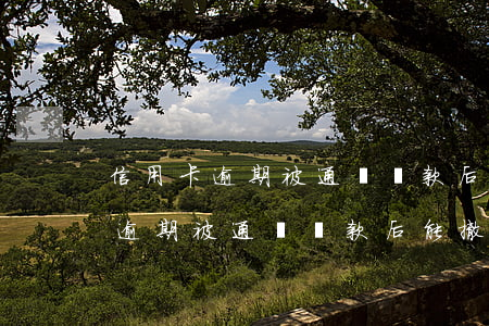 信用卡逾期被通緝還款后能撤案嗎-信用卡逾期被通緝還款后能撤案嗎知乎