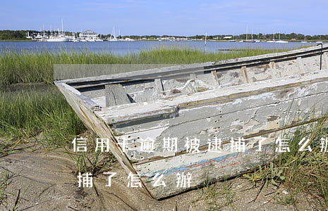 信用卡逾期被逮捕了怎么辦(信用卡逾期被逮捕了怎么辦)