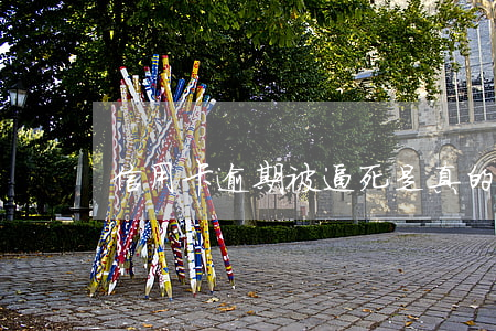信用卡逾期被逼死是真的吗