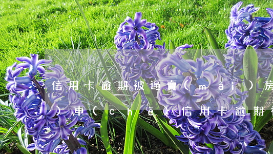 信用卡逾期被逼賣(mài)房賣(mài)車(chē)(信用卡逾期被逼賣(mài)房賣(mài)車(chē))