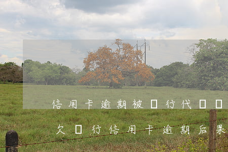 信用卡逾期被銀行代償會(huì)怎么樣(欠銀行信用卡逾期后果怎么樣)