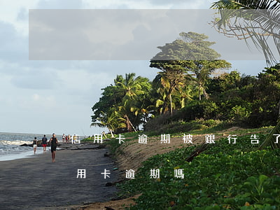 信用卡逾期被銀行告了怎么辦(銀行會起訴信用卡逾期嗎)