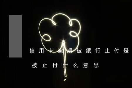 信用卡逾期被銀行止付是什么意思(銀行卡已被止付什么意思)