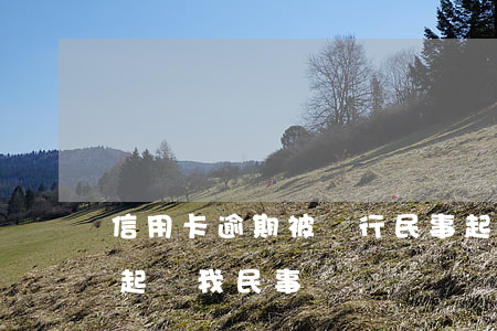信用卡逾期被銀行民事起訴狀(銀行因信用卡起訴我民事糾紛)