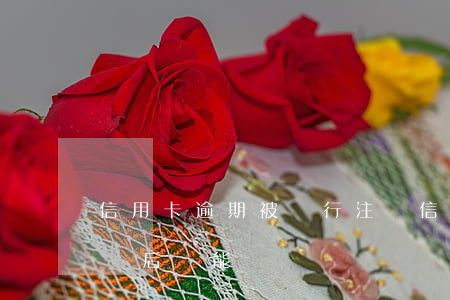 信用卡逾期被銀行注銷(信用卡逾期被銀行注銷后還能還錢嗎)