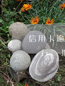 信用卡逾期被銀行異地起訴了(信用卡逾期被銀行異地起訴了怎么辦)