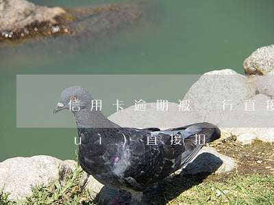 信用卡逾期被銀行直接扣款(貸款逾期會(huì)直接扣銀行卡的錢(qián)嗎)