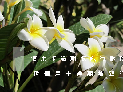 信用卡逾期被銀行訴訟怎么應(yīng)訴(信用卡逾期被銀行訴訟怎么應(yīng)訴)