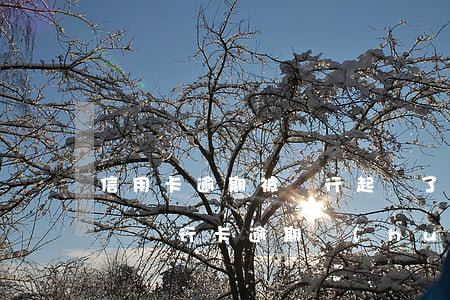 信用卡逾期被銀行起訴了會(huì)怎么樣 銀行卡逾期會(huì)被起訴嗎
