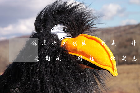 信用卡逾期被銀行起訴仲裁怎么辦-信用卡逾期被銀行起訴仲裁怎么辦理