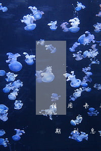 信用卡逾期被銀行起訴利息怎么算(信用卡逾期利息多少)