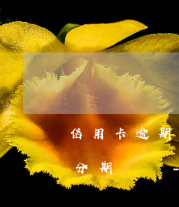 信用卡逾期被銀行起訴可以協(xié)商分期還嗎-欠信用卡被起訴可以協(xié)商還款嗎